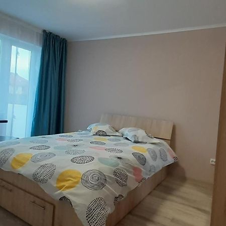 Studio Ultracentral Cu Balcon Онешти Экстерьер фото