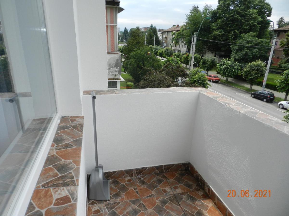 Studio Ultracentral Cu Balcon Онешти Экстерьер фото