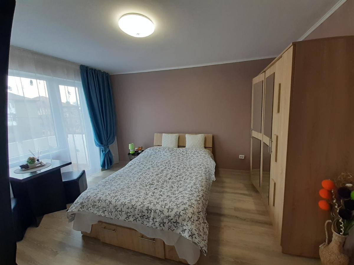 Studio Ultracentral Cu Balcon Онешти Экстерьер фото